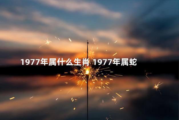 1977年属什么生肖 1977年属蛇和什么相克